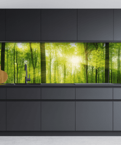 Spritzschutz Küchenrückwand Forest Morning