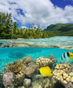 Alternative view of Eck Duschrückwand Unterwasser Südsee
